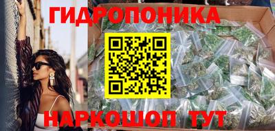 спайс Шелехов