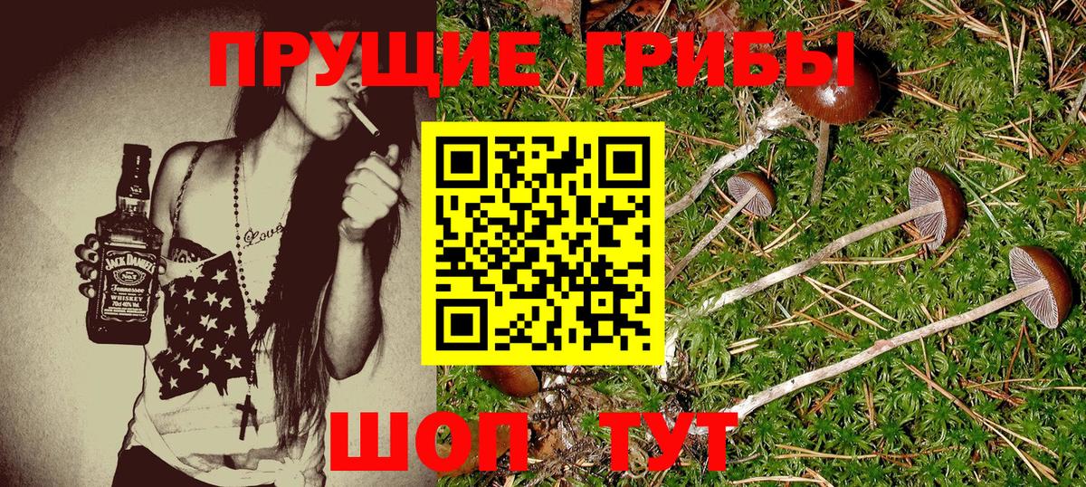 Галлюциногенные грибы MAGIC MUSHROOMS Серов