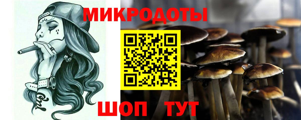 Псилоцибиновые грибы Psilocybine cubensis  Вход с VPN  Серов 